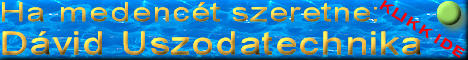 D�vid Uszodatechnika hirdet�s